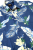 1000003174.png